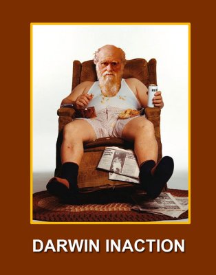 Darwin-Inaction.jpg