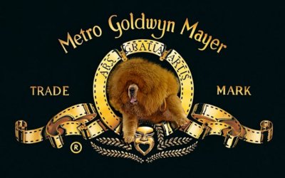 MGM-Dog.jpg