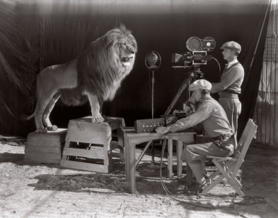 MGM-Lion-filming-O.jpg