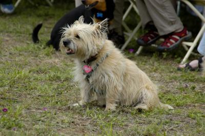 DSC_0033.jpg