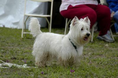 DSC_0039.jpg