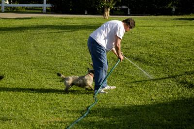 DSC_0103.jpg