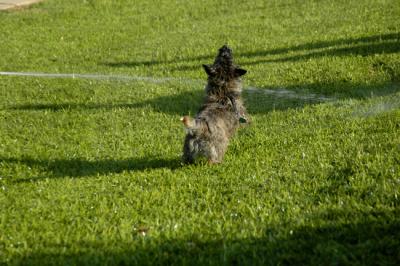 DSC_0147.jpg