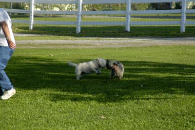 DSC_0167.jpg