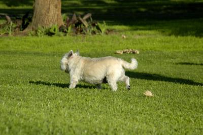 DSC_0169.jpg