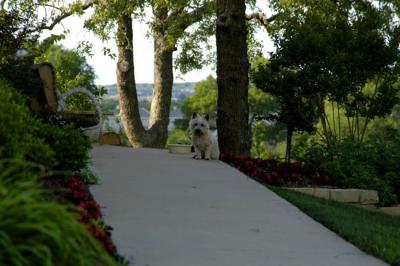 DSC_0170.jpg