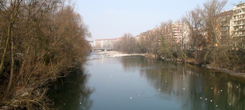 LArve