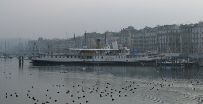 Harbour