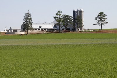 Out in the county, the lush farmland.