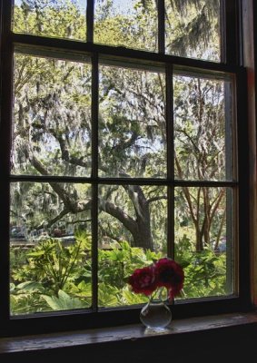 A RETURN TO THE LOW COUNTRY PLANTATIONS