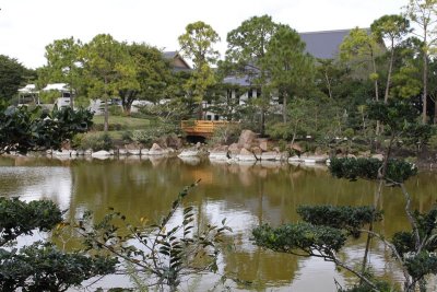 13.  The Morikami Japanese Museum and Gardens.