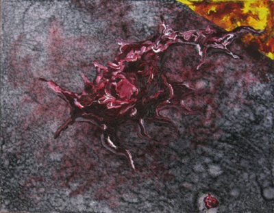 Still Life series 2006