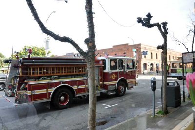DSC_0227.jpg