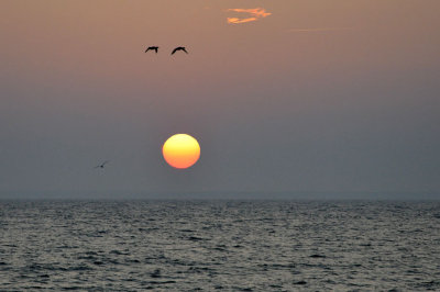 Another stunning Cape Cod sunset