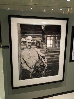 Arizona ranchers photo gallery