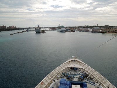 Several cruise ships are docked
