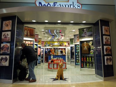 Souvenirs for dogs