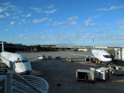 Ready to fly