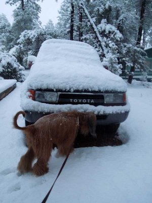 It's not snowing under there!