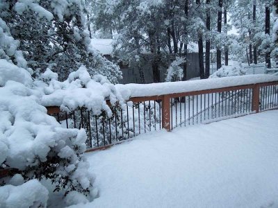 Snow deck