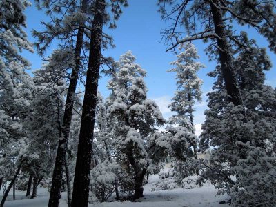 Arizona is so much more than desert
