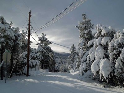 Fresh snow on Eagle Drive