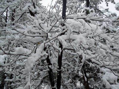 A delicate dusting of snow