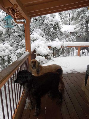 Thawing out
