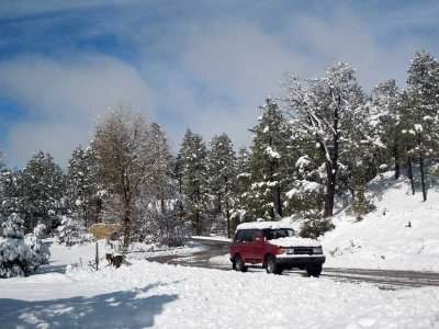Snow hauler