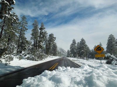 Approaching the downhill grade to Pine