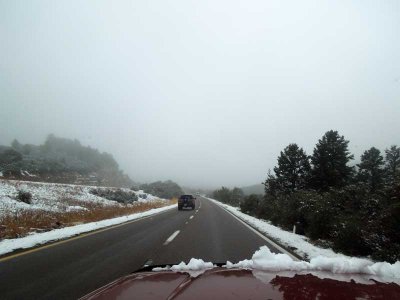 Fog, too!