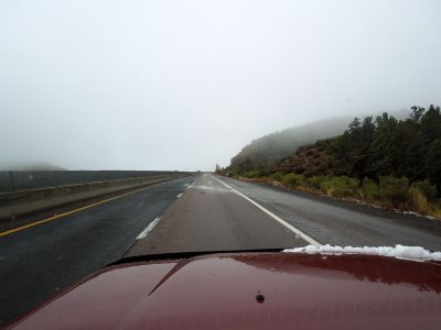 Fog on the road