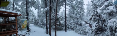 Back yard panorama