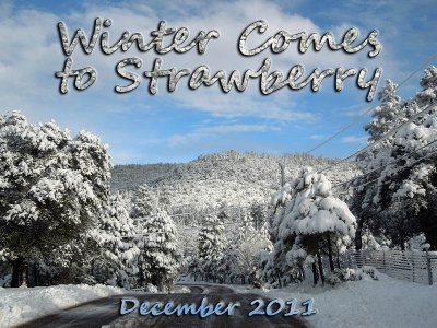 Winter Comes to Strawberry, December 2011