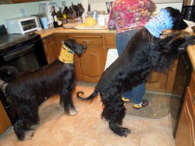 A bit too eager for dinner?