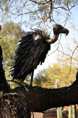 Tree vulture