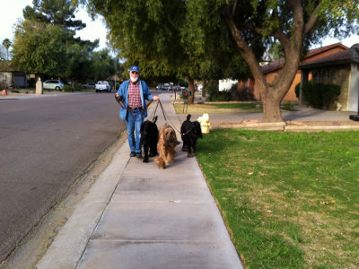 Walking the pack
