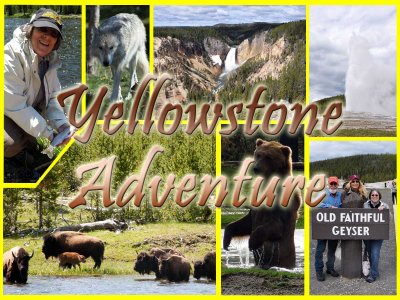 Yellowstone Adventure, May-June, 2012