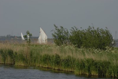 _KWM1416_8511.jpg