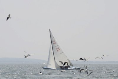 _DSC0969_5811.jpg