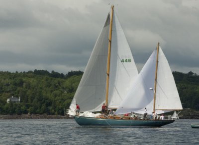 _KWM8902_2811.jpg