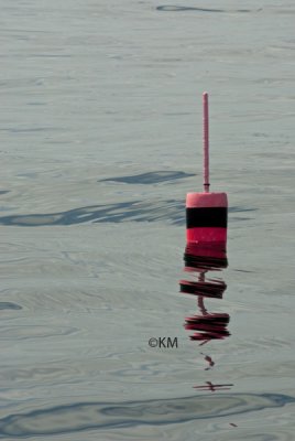 _KWM8951_2811.jpg