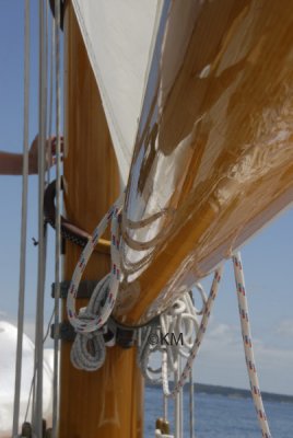 _KWM8964_2811.jpg