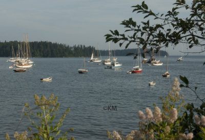 _KWM9547_5811.jpg