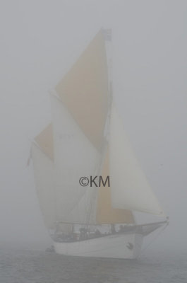 g4/53/578453/3/142116704.IwVet42t.jpg
