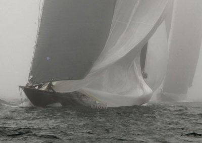 DSC_2458_12623.jpg