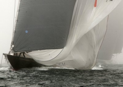 DSC_2460B_12623.jpg