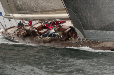 DSC_2533_12623.jpg
