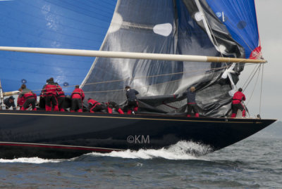 DSC_2608_12623.jpg