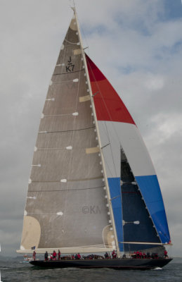 DSC_2610_12623.jpg